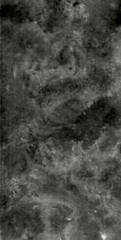 Sava Cream 60x120 Full Lappato 7,5mm